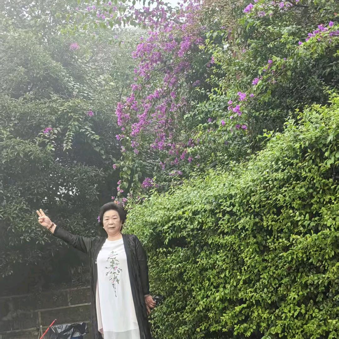 刘三姐