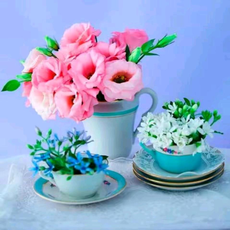 🌹落摸的回憶？？