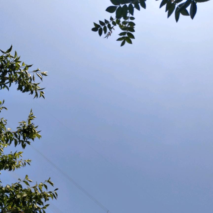 没有再见，没有余生