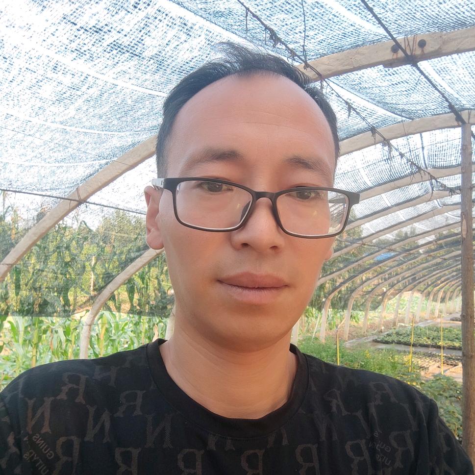 传奇花木