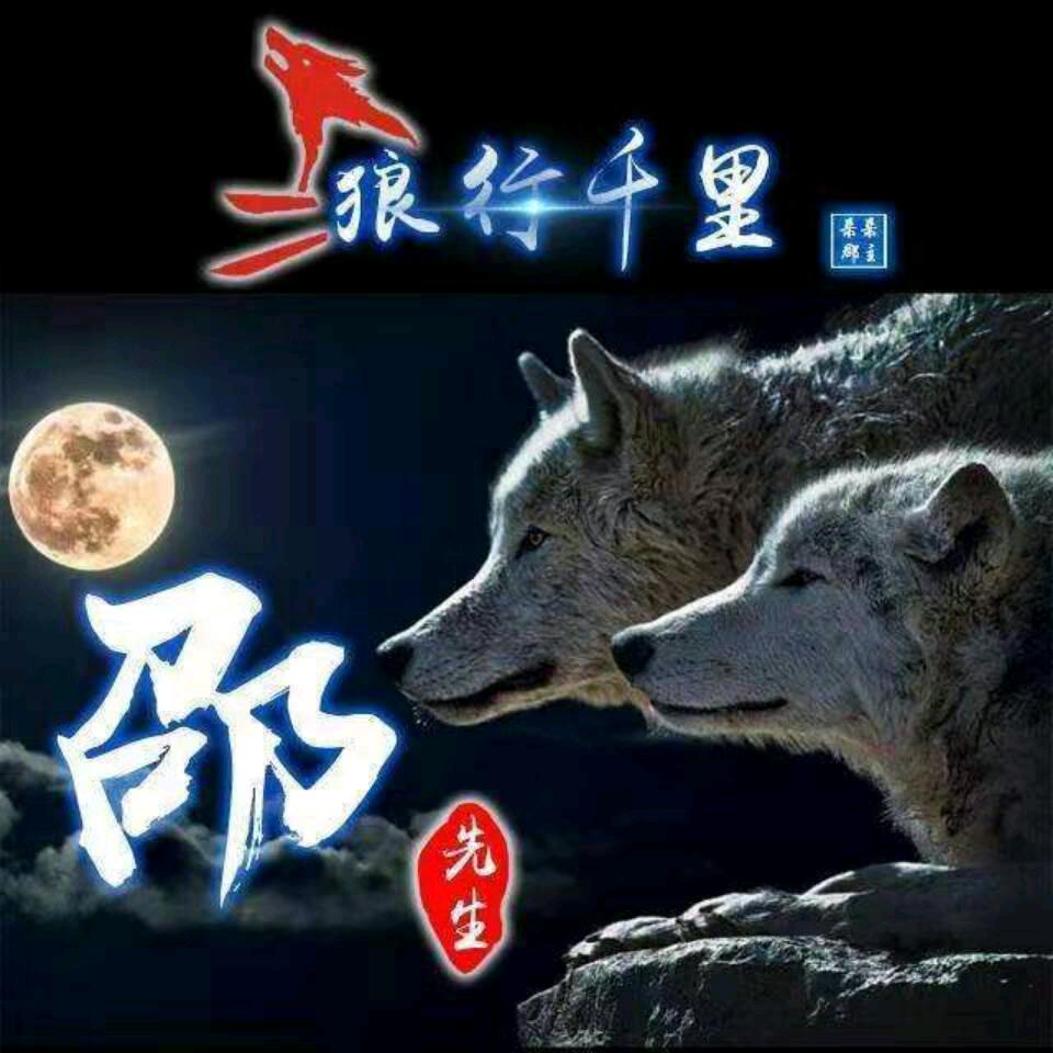 临泉猴哥小号