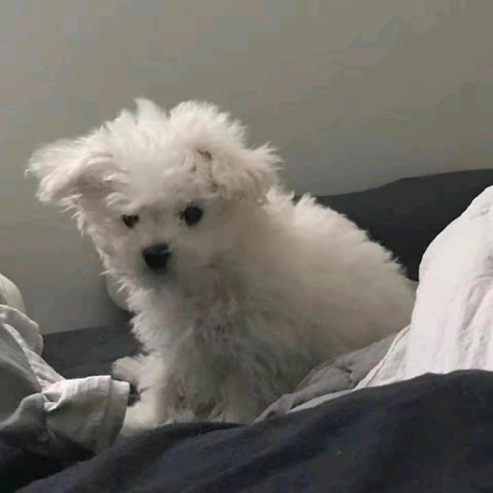 阿边