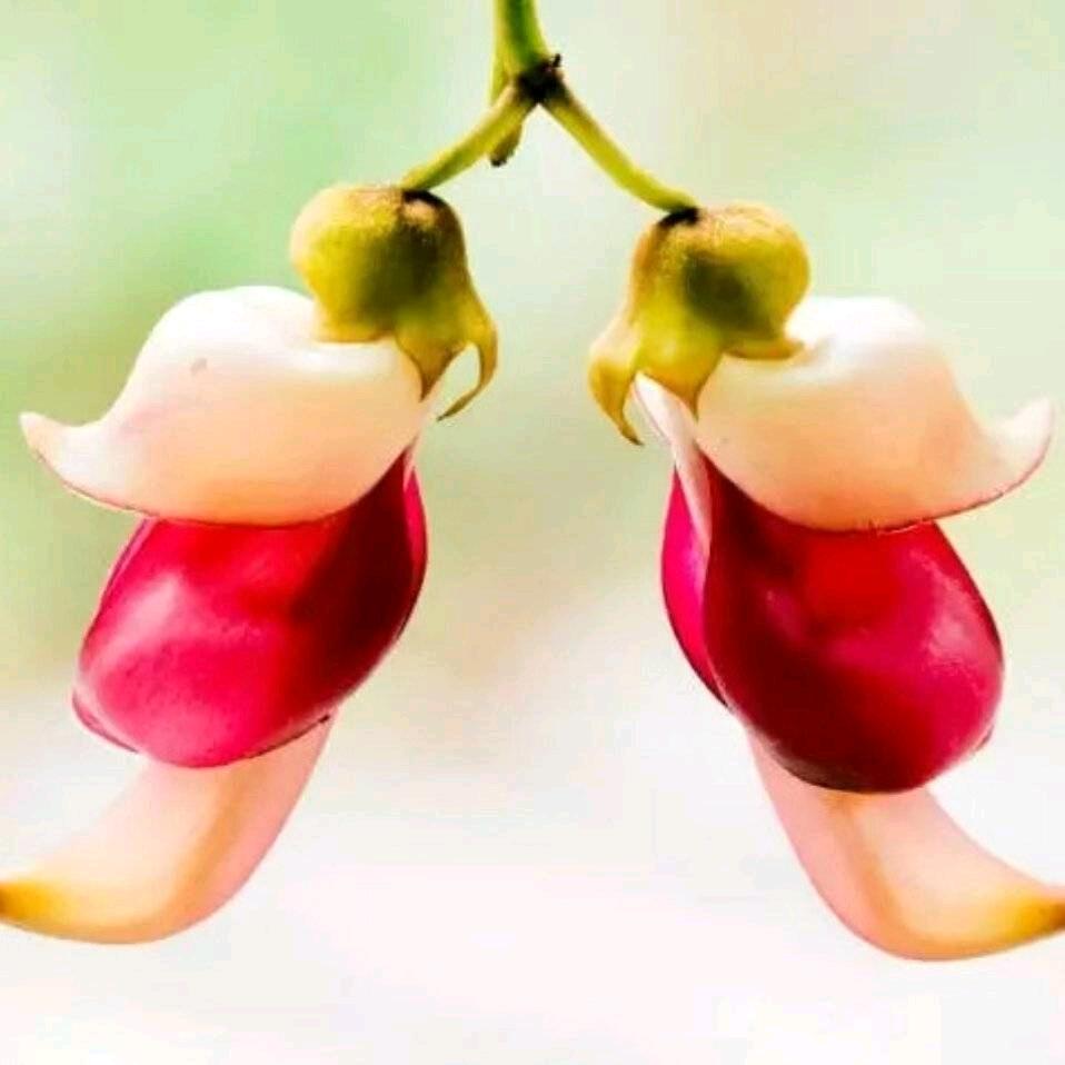 清风揽怀