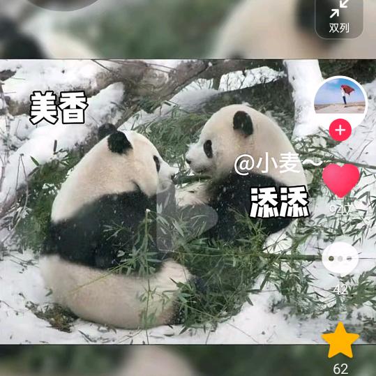 相遇随缘