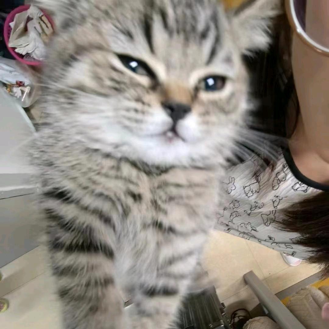 彡玖邬
