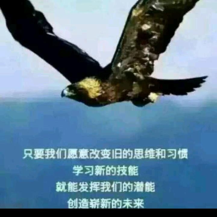 鹰王