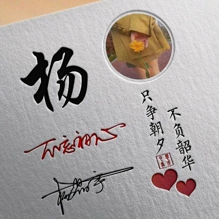 小杨历险记
