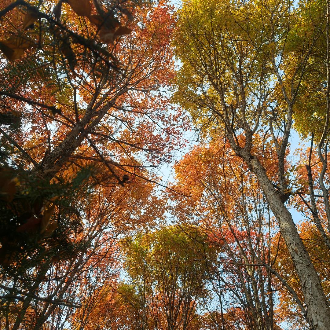 乖³√听劝