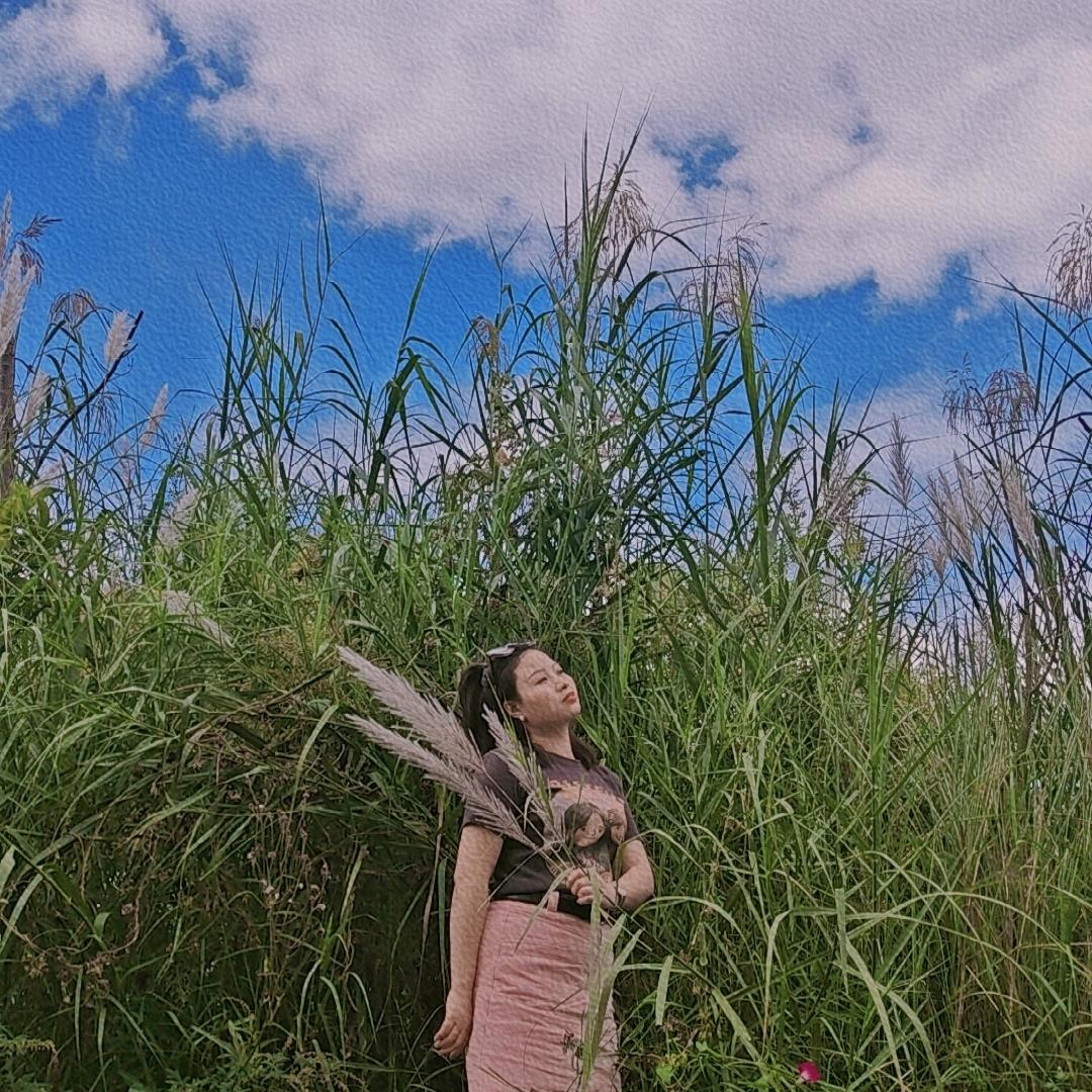 锦文🌳