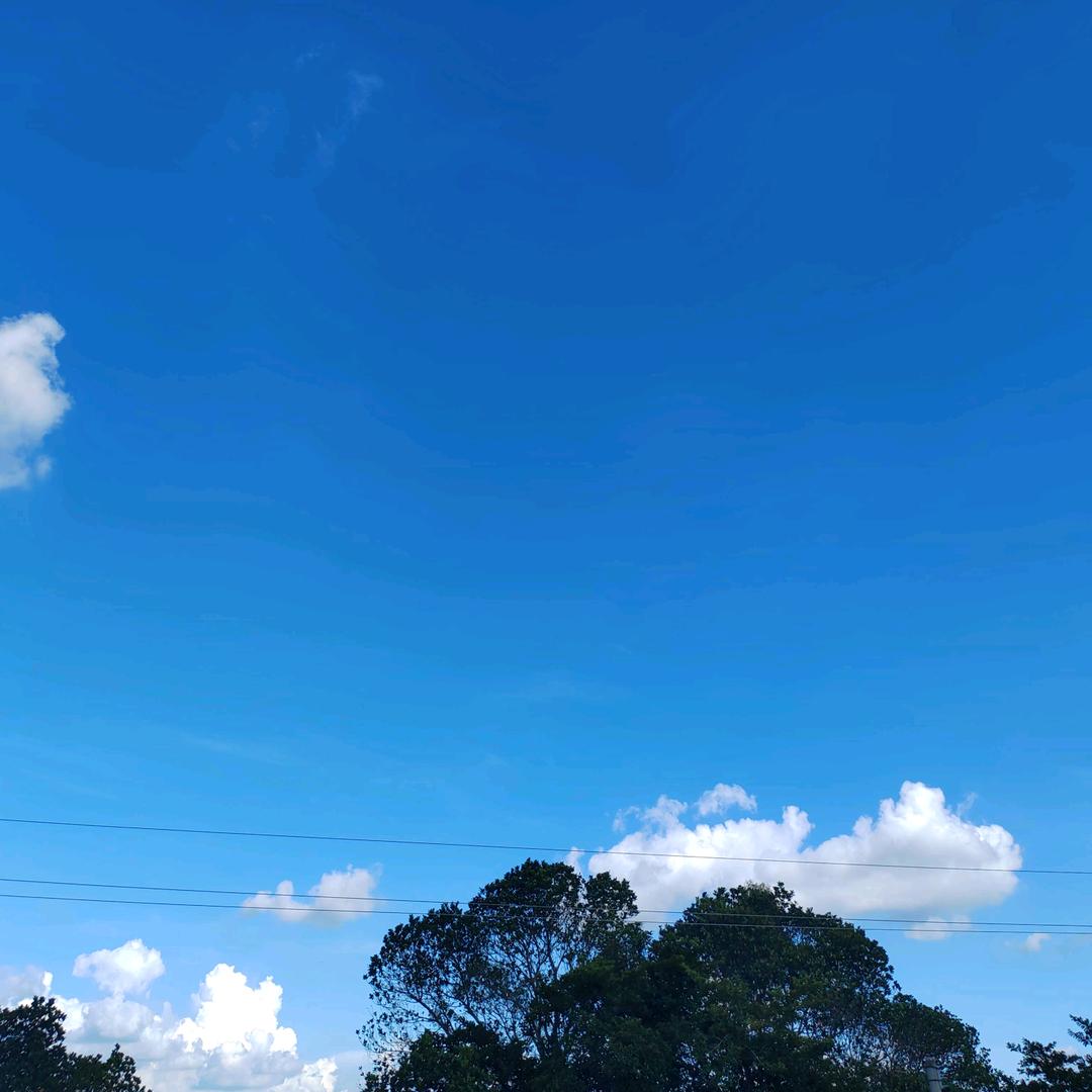 东姐