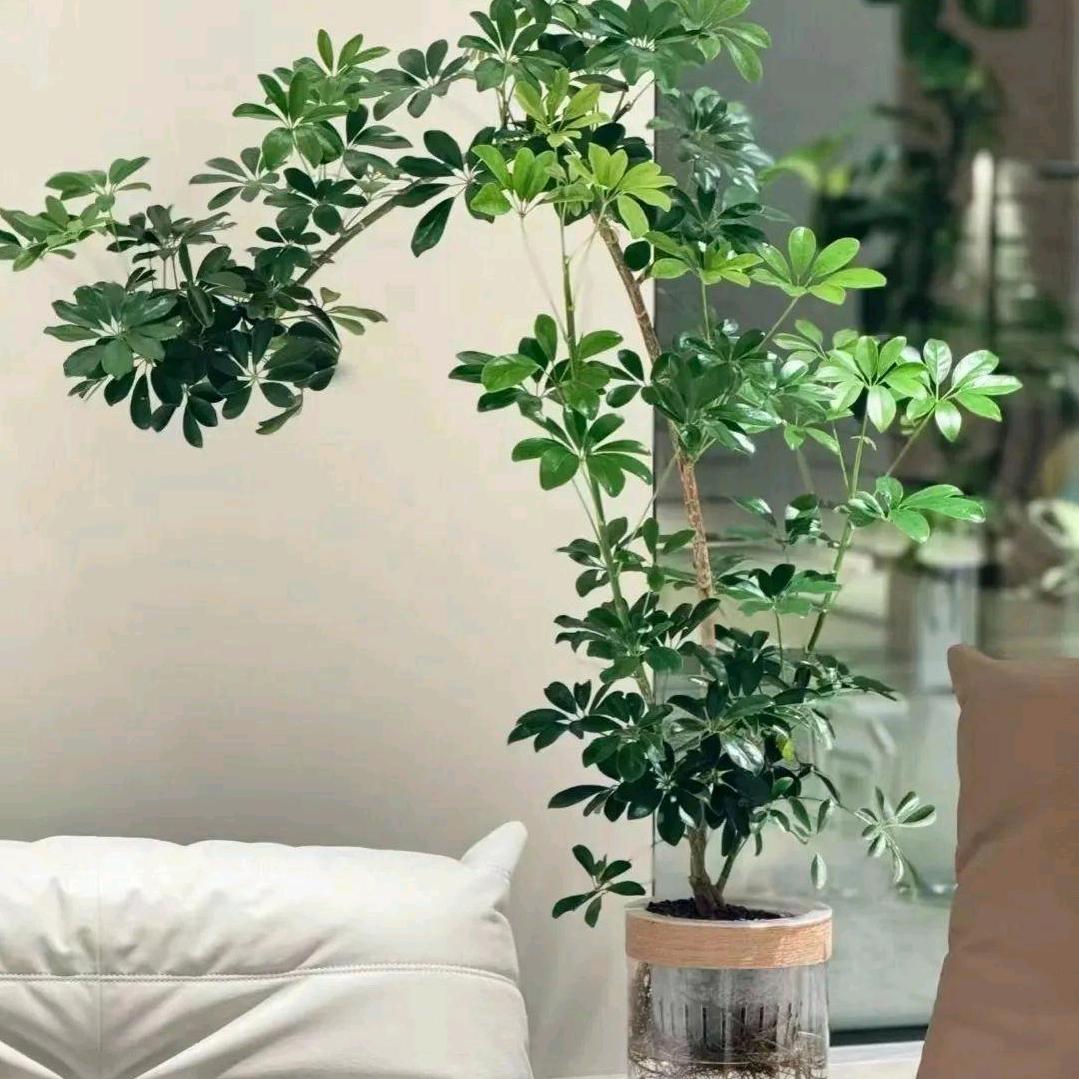 赵耀快乐
