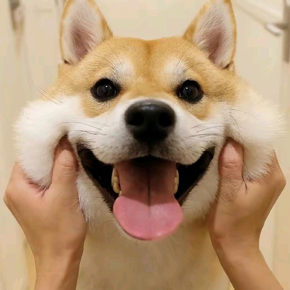 ♥悠米不忐忑♥