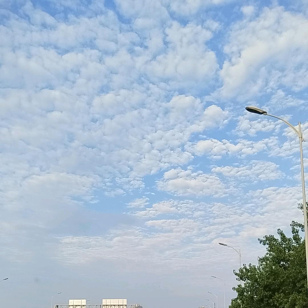 苏U劉哥哥