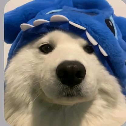 ￴ ￴￴￴￴ ￴￴ ￴￴ ￴￴￴