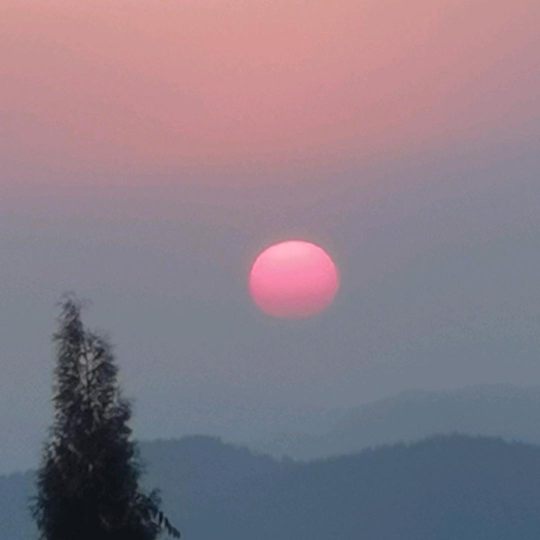 顺其自然。😁😁