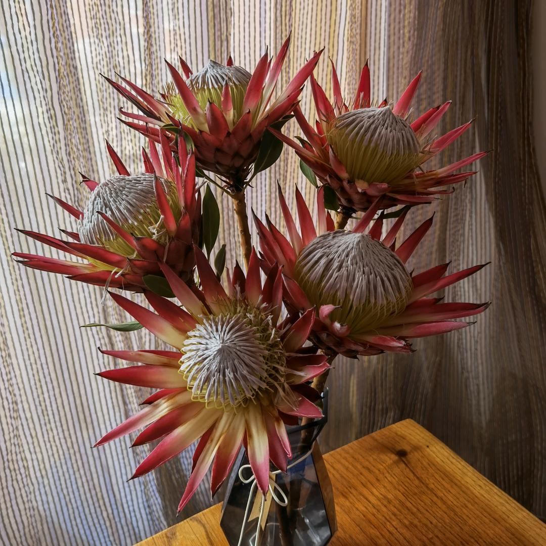 🌈🌈🔥幽幽🔥🌈🌈