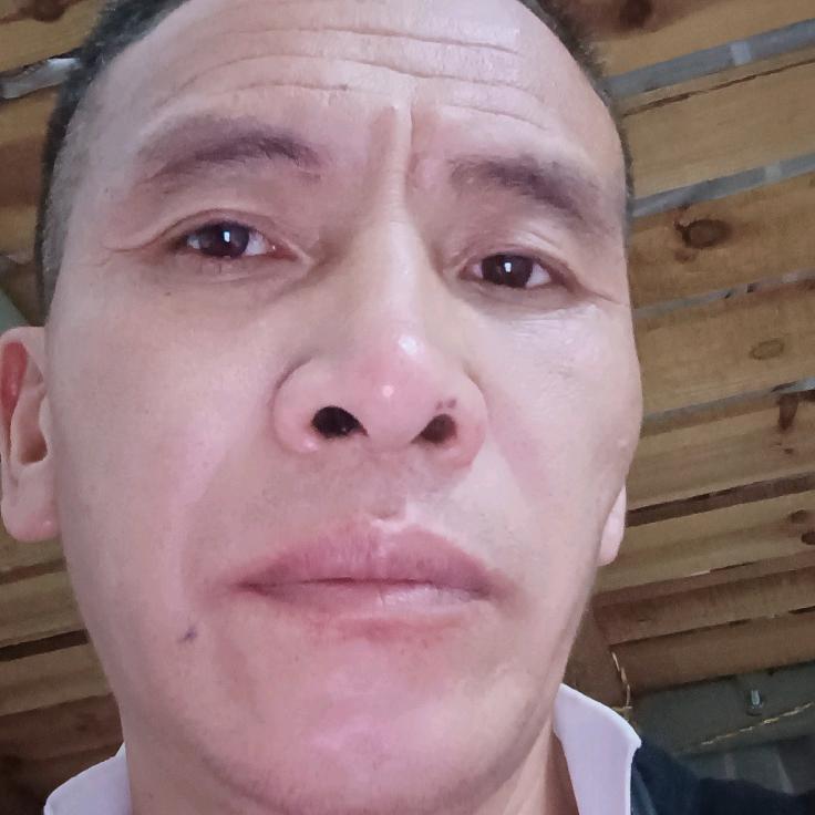 都匀，毛尖茶，老高