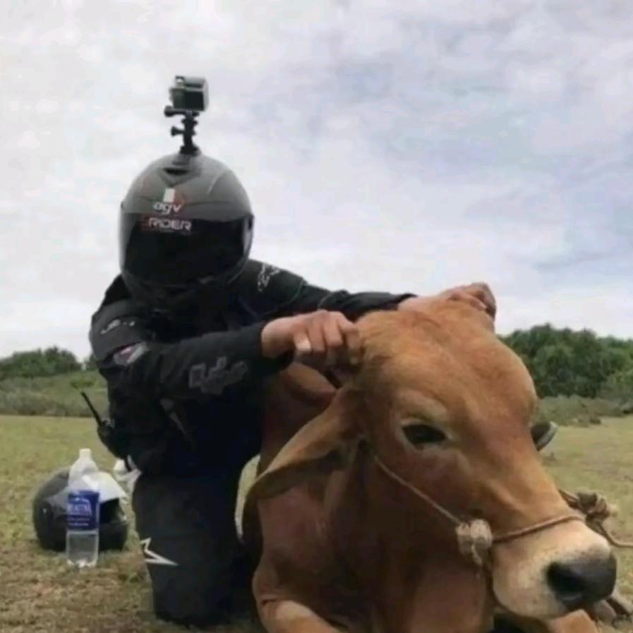 院儿里有大树🇨🇳