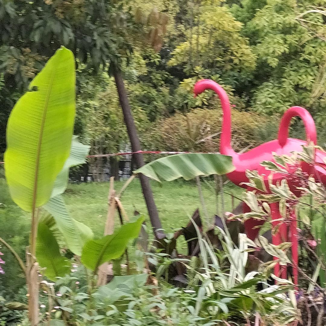 快乐😊幸福(^o^)o