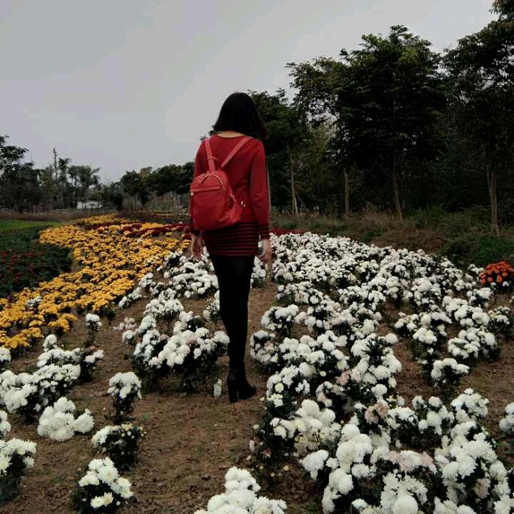 兔姐的养胃日常