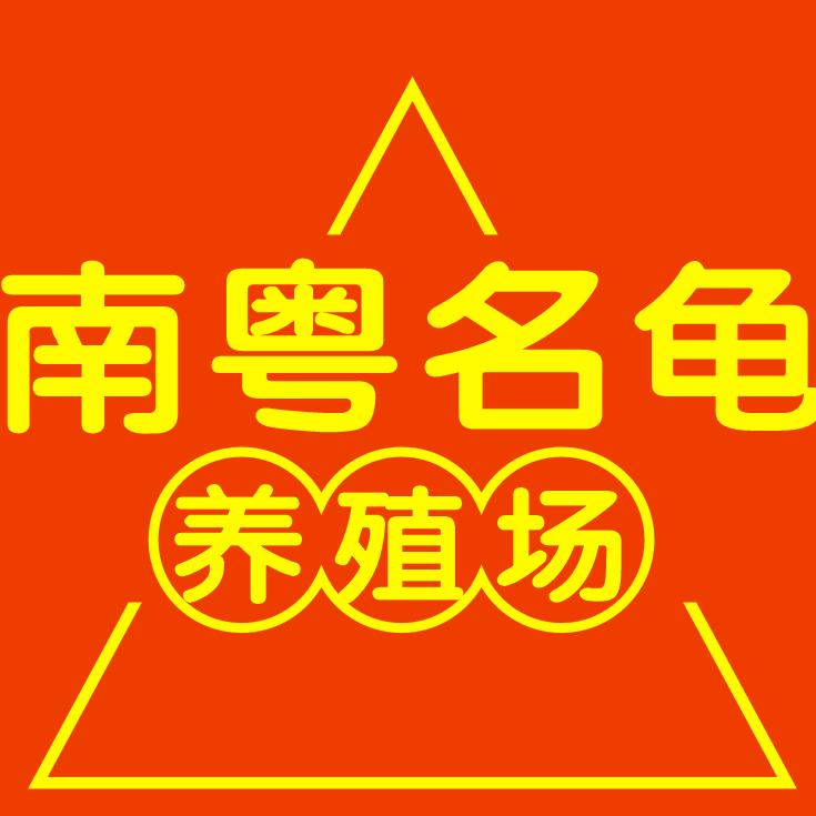 南粤新会陈皮