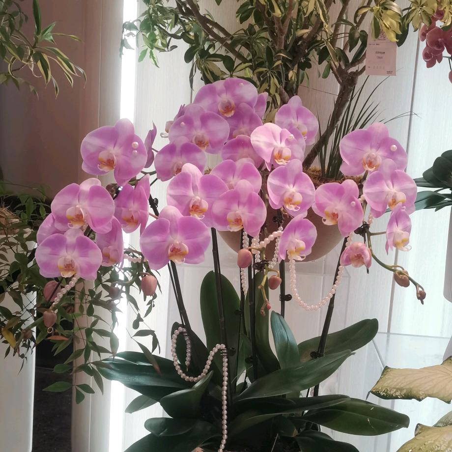 🌈漠漠