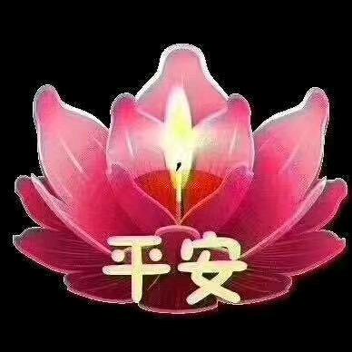 感恩（橱窗有好物）