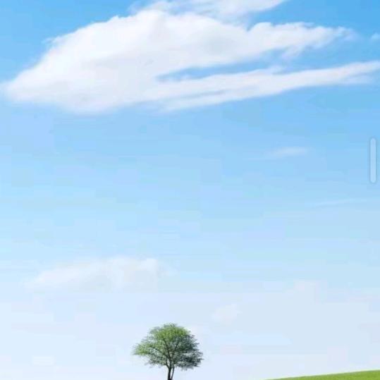 何秋纳