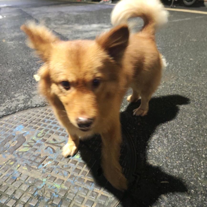 🚎🏎️⚠️🚸