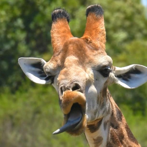 🌈🌈🌈致富小能手✓