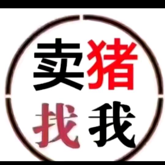 廖哥屠场代收生猪加调运