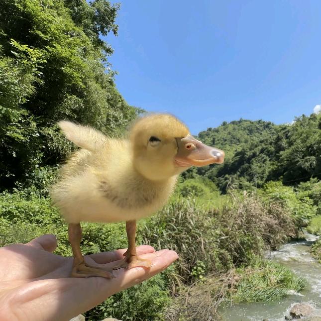 🌈千哉🌈