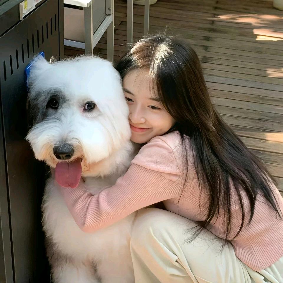 判断题是啥子哦