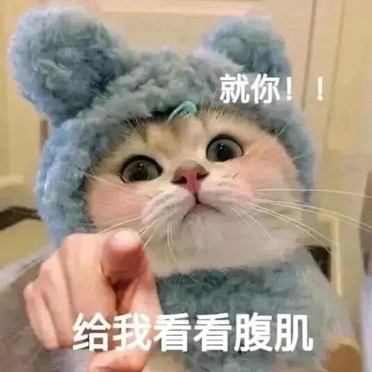 小灰灰不会飞