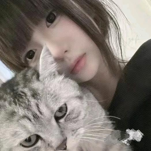 漫月月