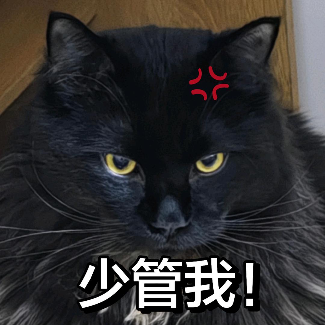 富噜噜