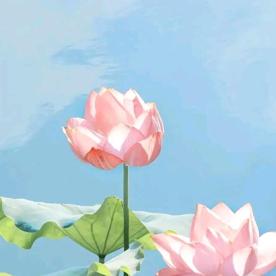 隔壁老朱