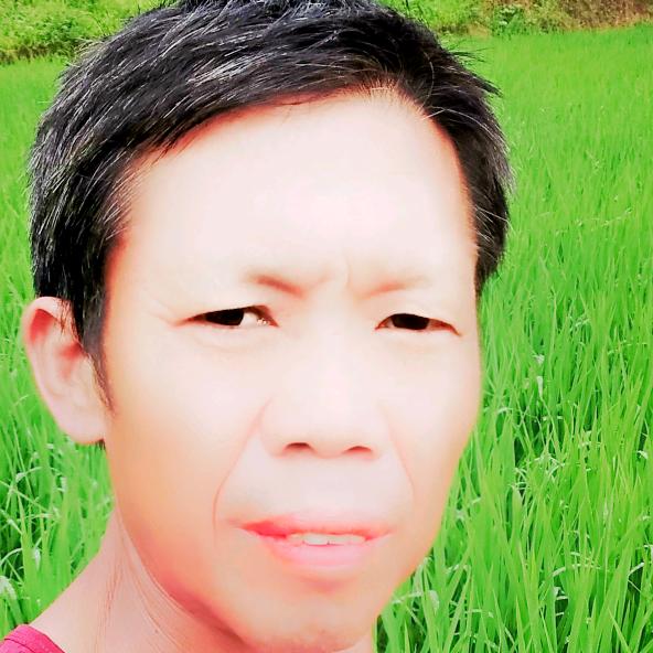 朱哥哥