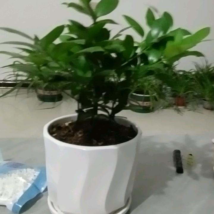 ♥(｡￫v￩｡)♥