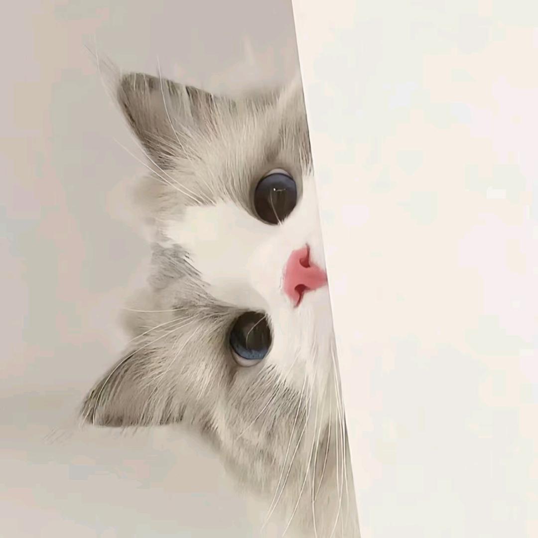 晚安、