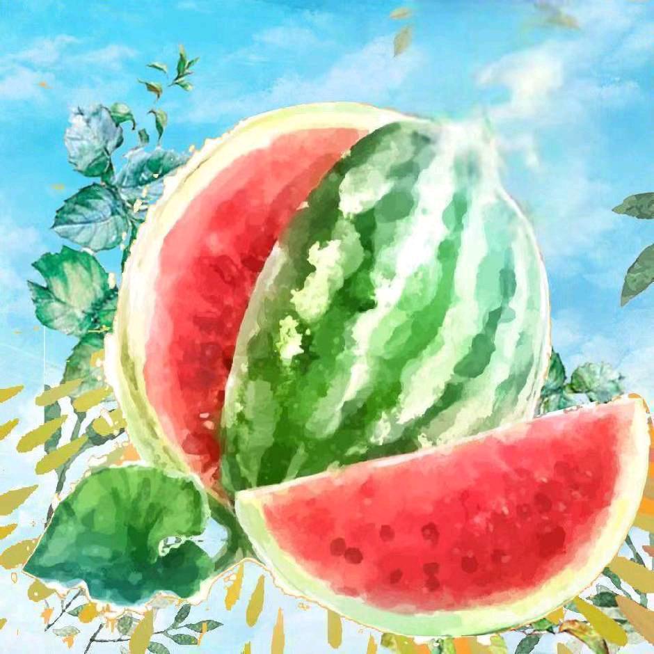 冰镇无籽西瓜🍉