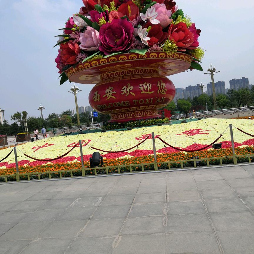 想好去做