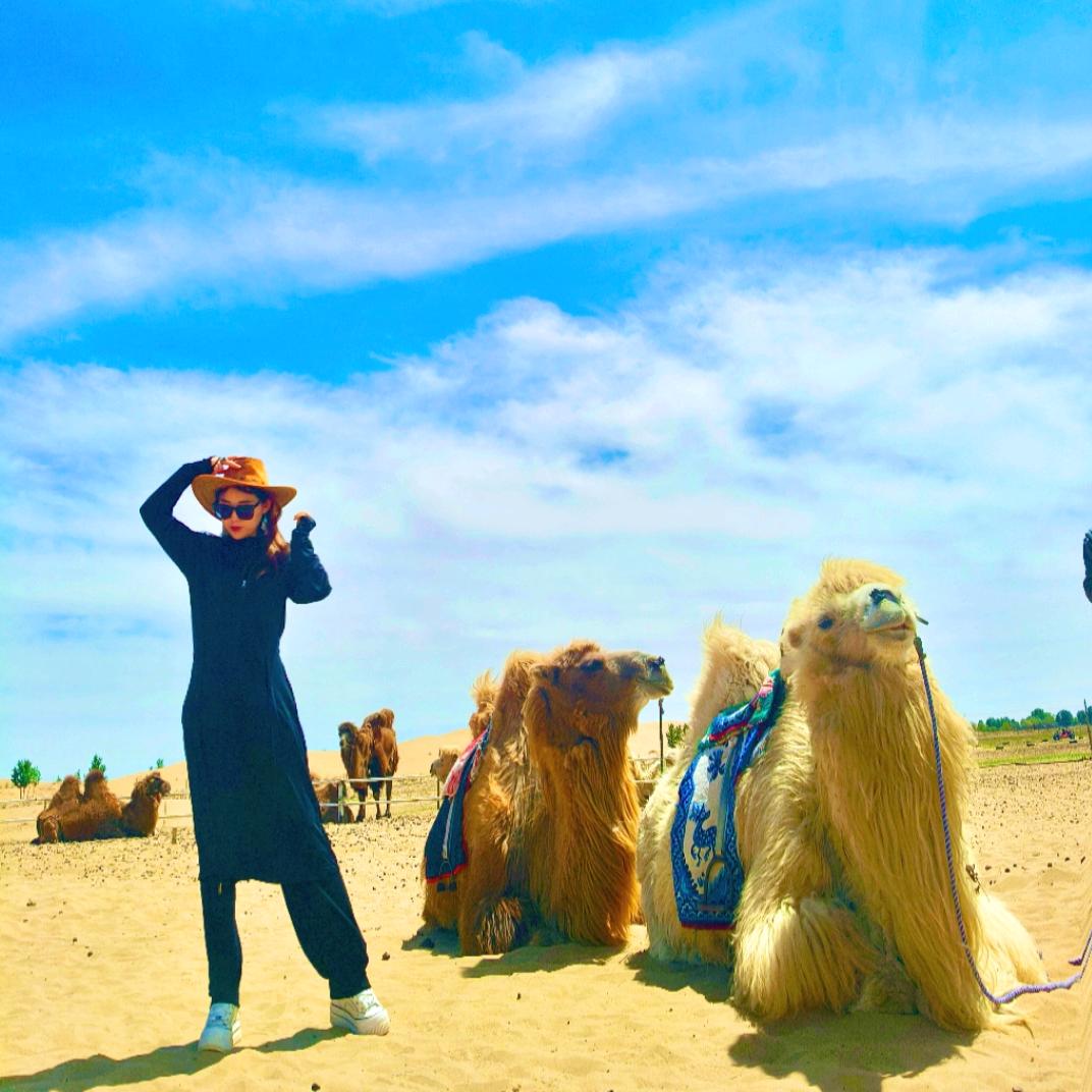 往事清零（股骨颈静养中）