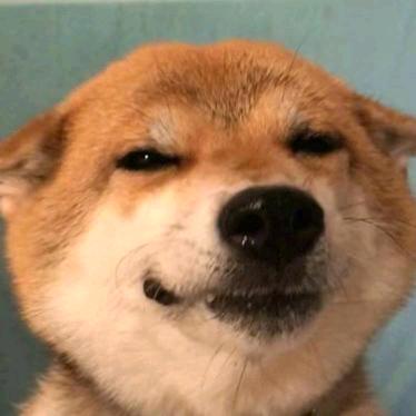 曾经的自己
