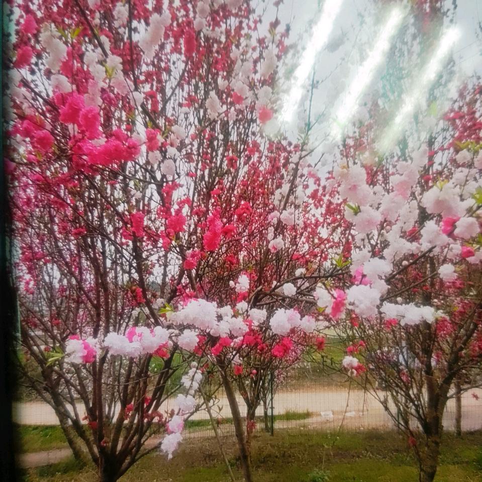 微笑✨✨🍀🍀