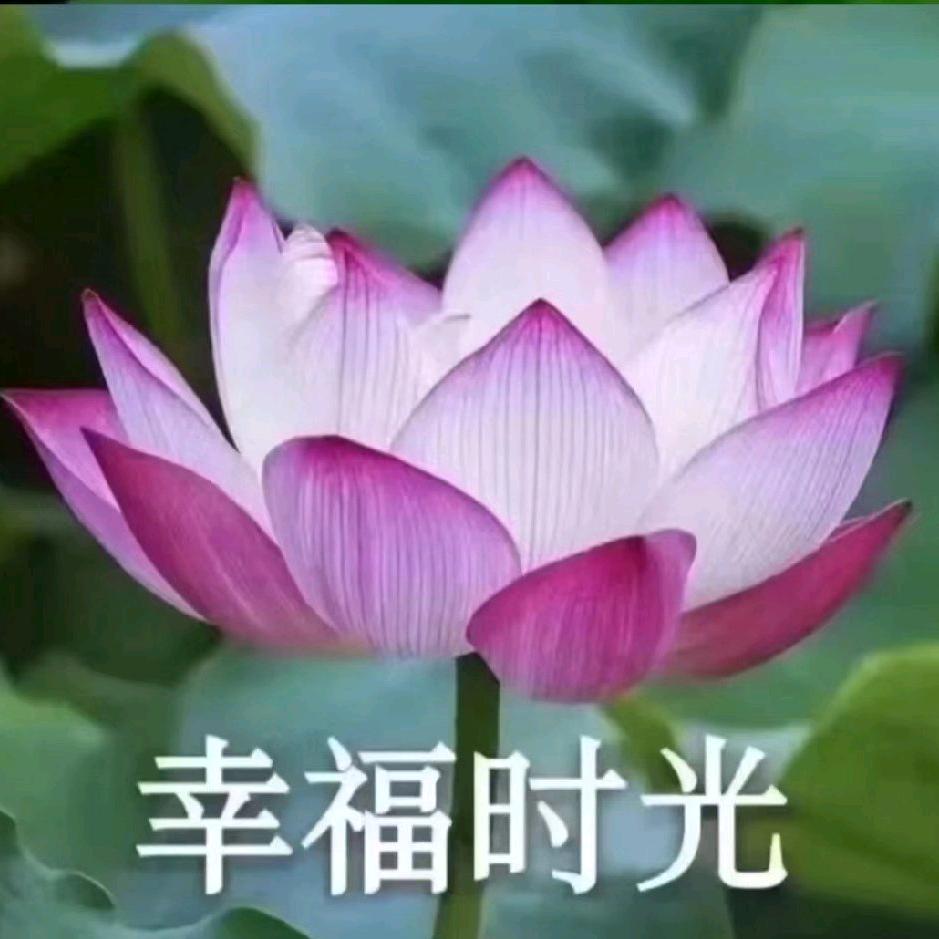 鱼🐠儿～