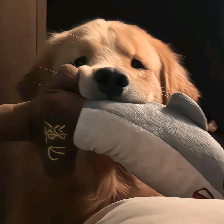 运气爆棚的土豆