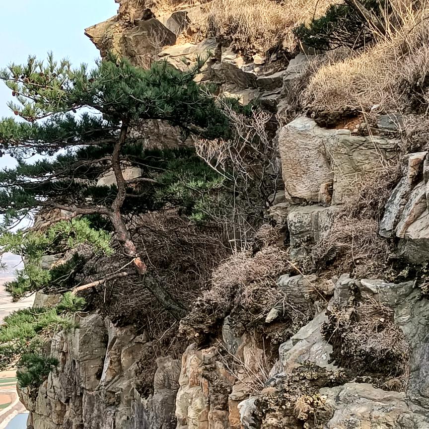 李亮