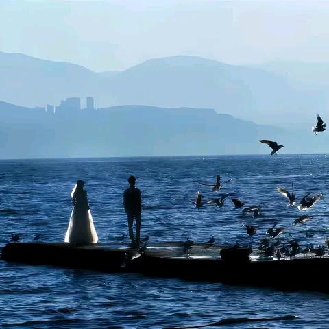 佔山為王🌸地為牢