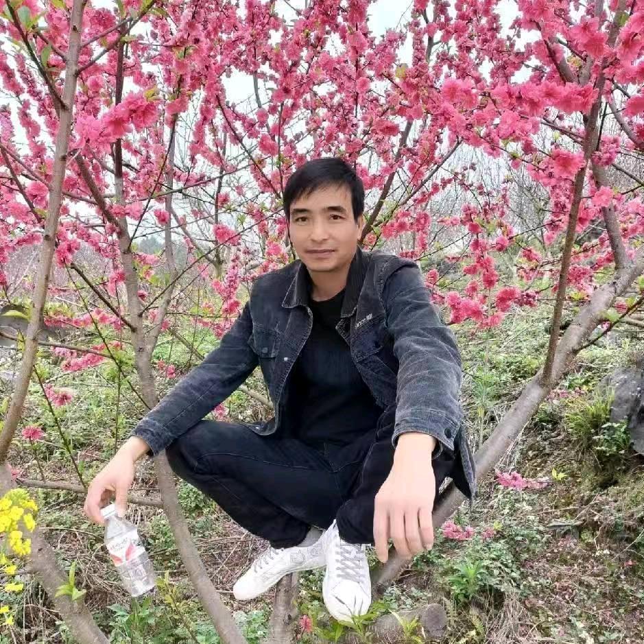 🐿期待
